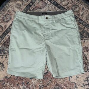 Express Mens Light Green Shorts
